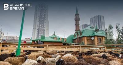 В ДУМ РТ назвали места заклания в Казани в Курбан-байрам