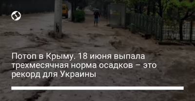 Потоп в Крыму. 18 июня выпала трехмесячная норма осадков – это рекорд для Украины
