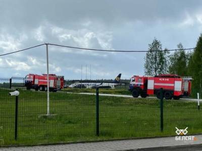 Литва попросит помощи у Белоруссии по инциденту с самолетом Ryanair
