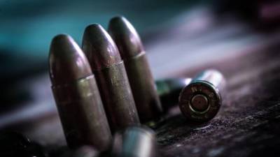 Совет Федерации одобрил ужесточение наказания за незаконный сбыт оружия