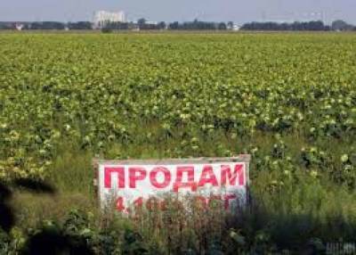 Шмыгаль рассказал, кому предоставят преимущественное право на покупку украинской земли