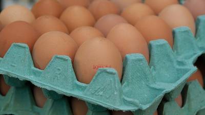 Пластиковую упаковку для яиц могут запретить в России - newinform.com