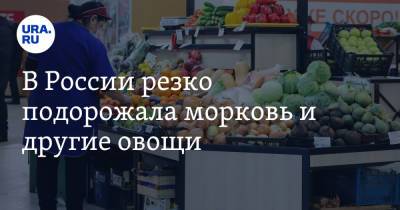 В России резко подорожала морковь и другие овощи