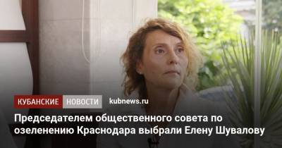 Председателем общественного совета по озеленению Краснодара выбрали Елену Шувалову