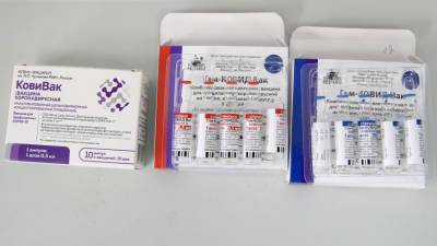 «Спутник V», «ЭпиВакКорона» и «КовиВак»: чем вакцинируются петербургские врачи?