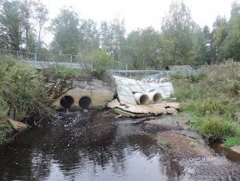 Обрушившийся в Вологодской области мост, который не простоял и полгода, придётся восстановить по гарантии