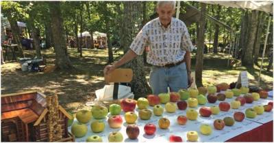 Пенсионер восстанавливает самые редкие сорта яблок с помощью своего уникального сада
