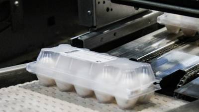 Пластиковая упаковка для яиц может оказаться под запретом в России