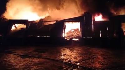 МЧС Белоруссии заявило о ликвидации пожара на Лукомльской ГРЭС