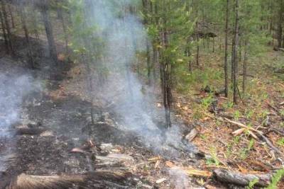 За сутки в Бурятии зафиксировали восемь лесных пожаров из-за сухих гроз
