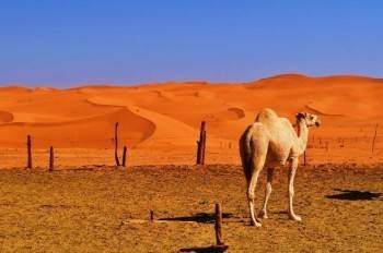 "Пустынная" жара не очень скоро покинет регион