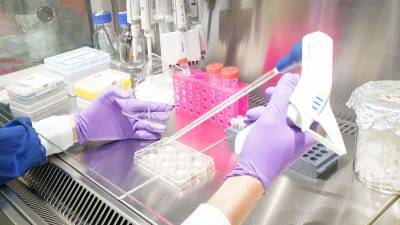 В США заявили об опасности штамма коронавируса «Дельта»