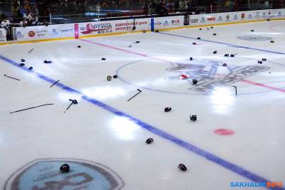 Азиатская хоккейная лига, где второй сезон не может играть "Сахалин", отменена до декабря