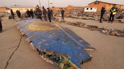 Экспертиза не подтвердила умышленное уничтожение самолета МАУ в Иране – СМИ
