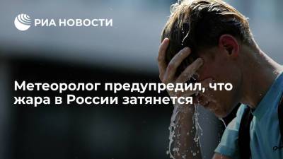 Метеоролог Старков спрогнозировал сохранение аномальной жары в России на неопределенный срок
