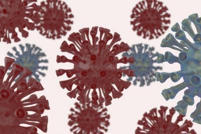За сутки в Карелии 137 человек заразились коронавирусом