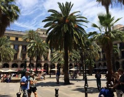 В Барселоне появилось приложение Cool Walks, прокладывающее маршруты через теневые участки с питьевыми фонтанами