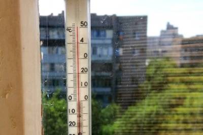 Тамбовский врач посоветовала, как пережить аномальную жару
