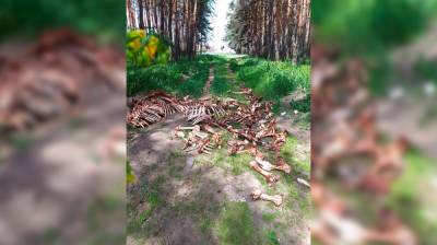Жуткое кладбище из костей в микрорайоне Воронежа убрали спустя два дня