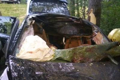 В Тверской области водитель разбил дорогую легковушку и остался жив в серьезном ДТП с лосем
