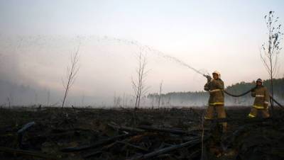 В Минприроды исключили повторение торфяных пожаров в России
