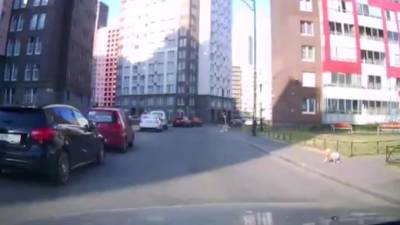 В Кудрово едва не сбили годовалого ребенка, выползшего на дорогу