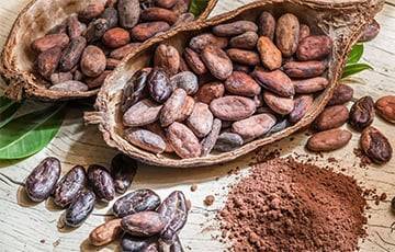 Ученые рассказали о пользе какао для здоровья