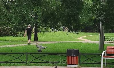 В Красносельском районе неадекватный мужчина измазал калом скамейки