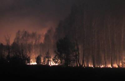 Украинские леса затянуло едким дымом, стянуты силы для борьбы с пожаром: детали ЧП