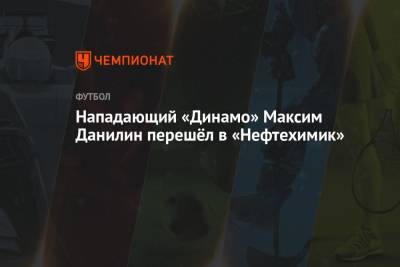 Нападающий «Динамо» Максим Данилин перешёл в «Нефтехимик»