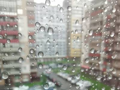 «Всех с праздником!»: в Петербург пришел долгожданный дождь (видео)
