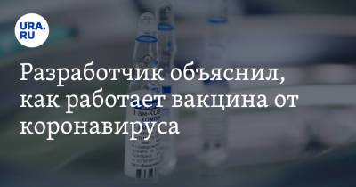 Разработчик объяснил, как работает вакцина от коронавируса