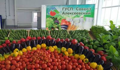 Работники совхоза «Алексеевский» в Уфе могут лишиться отпусков из-за вакцинации