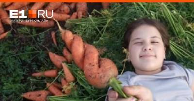 Морковь теперь как евро: цены на овощи в Свердловской области продолжают расти