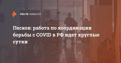 Песков: работа по координации борьбы с COVID в РФ идет круглые сутки