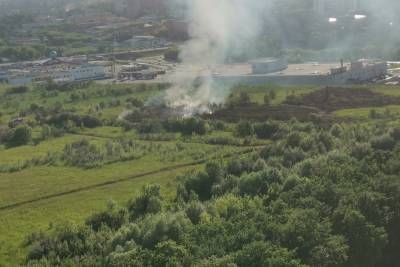 Жители Тулы жалуются на поджигателей травы в Левобережном