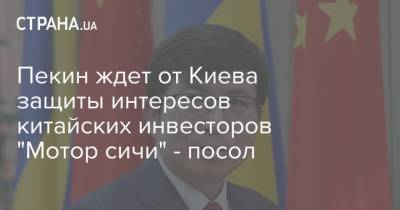Пекин ждет от Киева защиты интересов китайских инвесторов "Мотор сичи" - посол