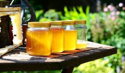 «Наш мед не хуже»: пчеловоды Татарстана сравнили свою продукцию с башкирской