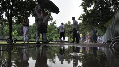 Сады и скверы Петербурга закрыли из-за долгожданного проливного дождя