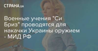 Военные учения "Си Бриз" проводятся для накачки Украины оружием - МИД РФ