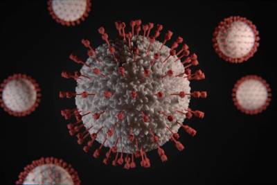 Саратовцев просят не паниковать от известий о преобладании в регионе индийского коронавируса