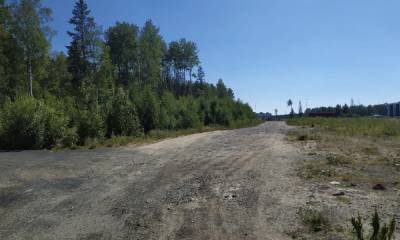 Мэр Петрозаводска рассказал, построят ли дорогу на месте «Тропы Ивана-царевича»