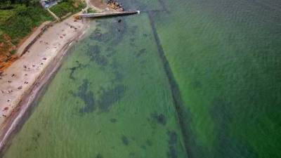 В Одессе продолжает "цвести" Черное море: вода теперь зеленого цвета