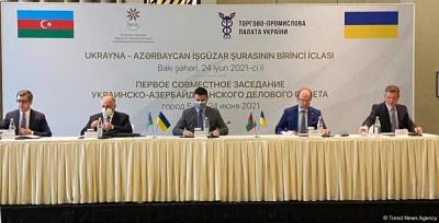 Создан украинско-азербайджанский деловой совет (ФОТО)