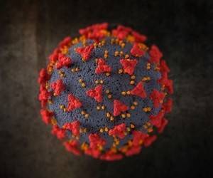 Вариант коронавируса «Дельта»: ученые допускают его заразность для вакцинированных