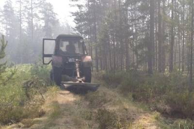В Тверской области 18 человек потушили пожар в лесу