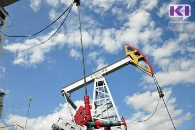 Госсовет Коми поддержал обращение к Федерации по вопросу усиления ответственности нефтяных компаний за экологическую безопасность
