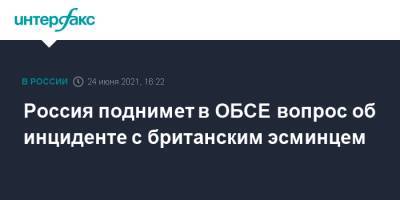 Россия поднимет в ОБСЕ вопрос об инциденте с британским эсминцем