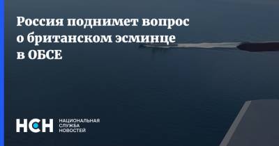 Россия поднимет вопрос о британском эсминце в ОБСЕ