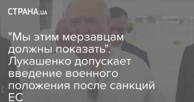 "Мы этим мерзавцам должны показать". Лукашенко допускает введение военного положения после санкций ЕС